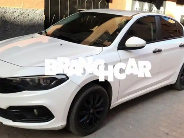 fiat tipo nv