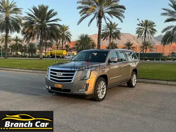 Cadilac Escalade XL, Number 1, Gulf specification, agency maintained,