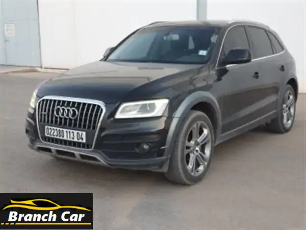 Audi Q52013 Offroad