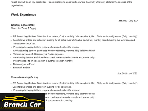 محاسب عام خبرة 5 سنوات في حسابات العملاء والموردين والبنوك والمخزون والقيود اليوميه وتقديم ...