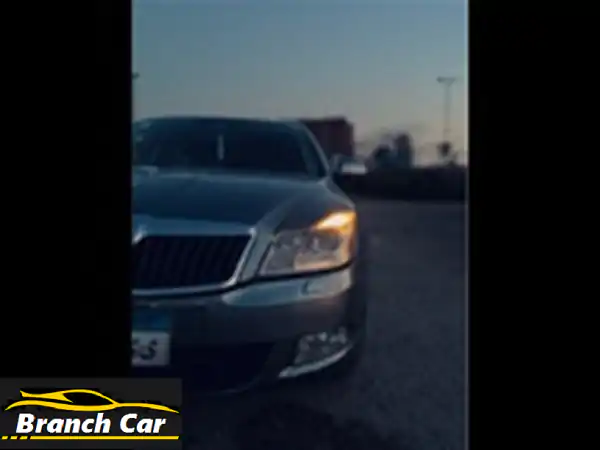 سكودا فانتازيا 2013