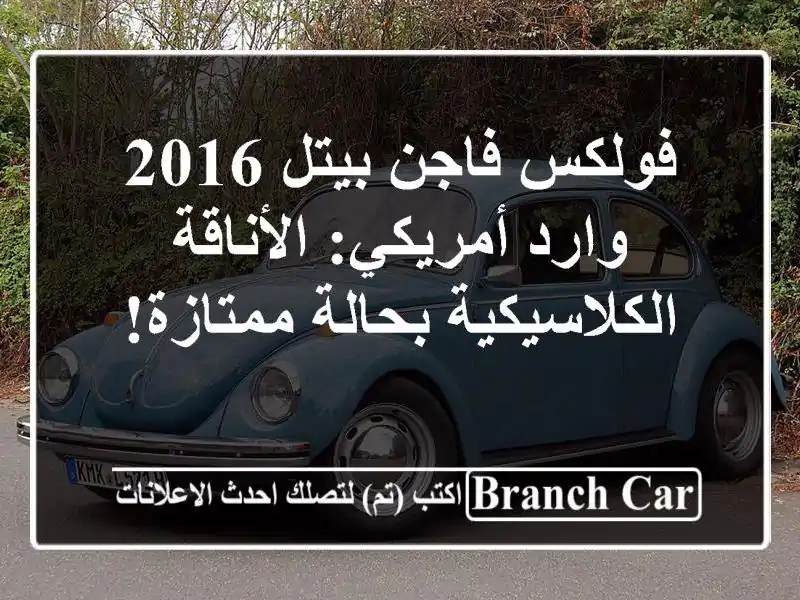 فولكس فاجن بيتل 2016 وارد أمريكي: الأناقة...
