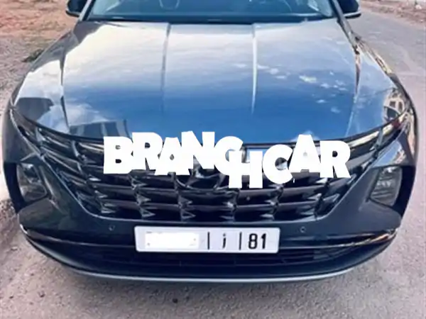 فرصة لا تعوض: هيونداي توسان 2024 - 95 ألف كم،...