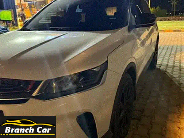 جيلى كول راي 2025