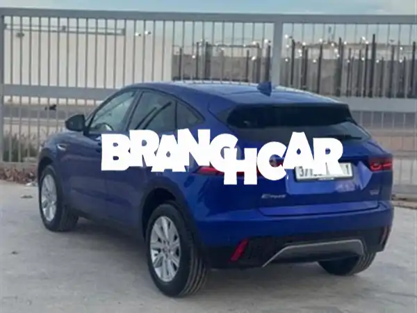 جاكوار إيبيس