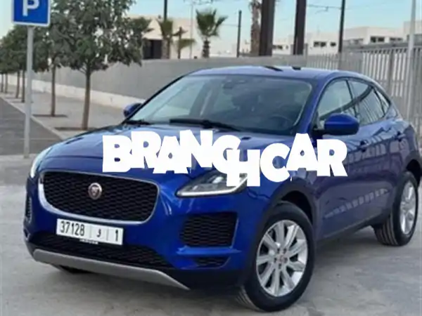 جاكوار إيبيس