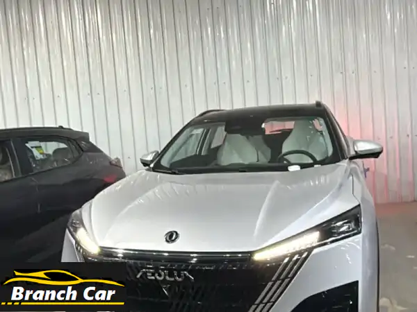 دونج فيج 2025: قيادة استثنائية بتصميم معاصر وأداء متقدم.