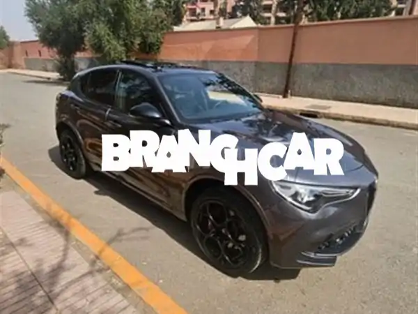 صفقة العمر: ألفا روميو ستيلفيو كوادريفوليو 2024 -...
