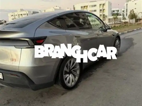 فرصة نادرة: تسلا موديل Y سلسلة الإطلاق - جديدة مستوردة (10 آلاف كم) مع موصل حائط وشاحن 220V! انطلق نحو المستقبل.