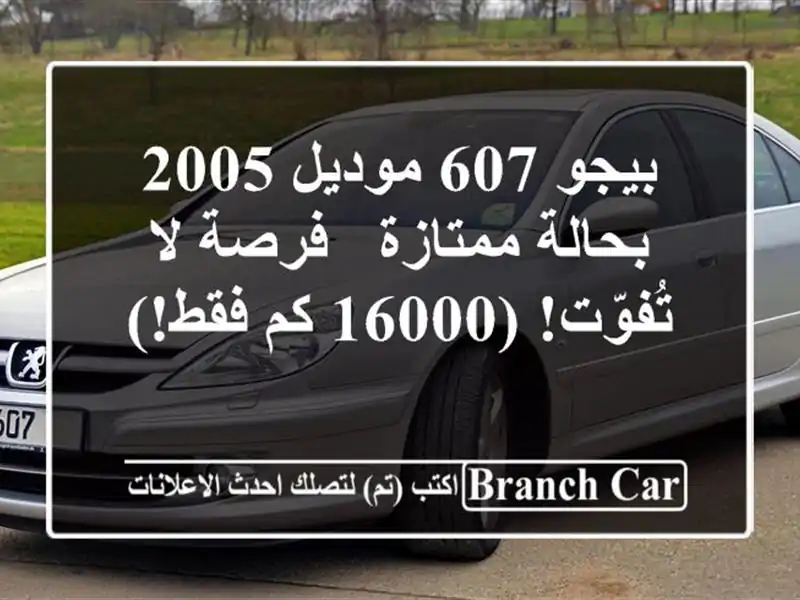 بيجو 607 موديل 2005 بحالة ممتازة - فرصة لا تُفوّت!  (16000...