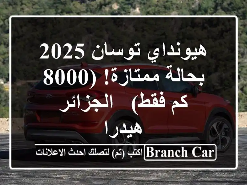 هيونداي توسان 2025 - بحالة ممتازة! (8000 كم فقط) - الجزائر...