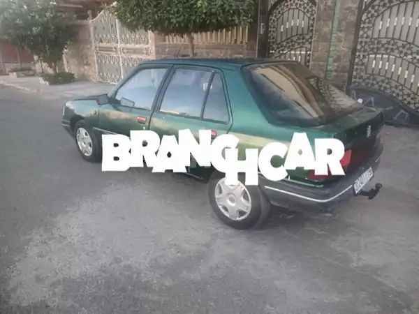 بيجو 309 موديل 87 - جوهرة كلاسيكية بسعر لا يقاوم!