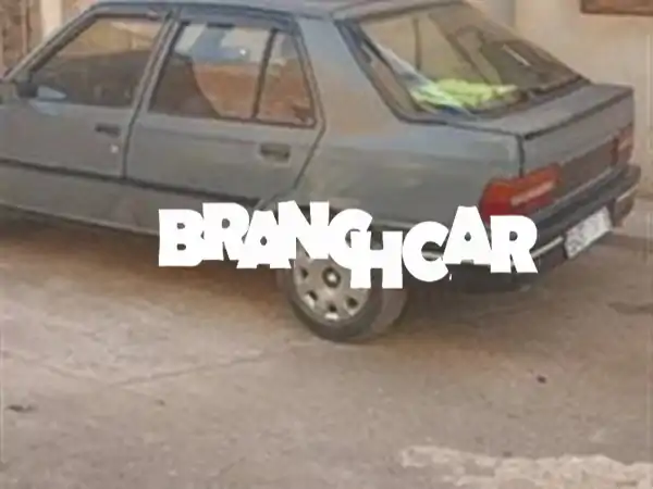 بيجو 309 بحالة ممتازة - فرصة لا تُفوّت! (22000 فقط)
