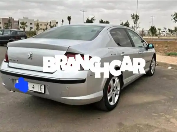 Peugeot407