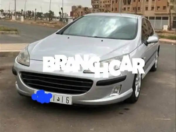 Peugeot407