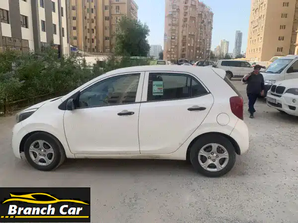 كيا بيكانتو 2018 بيضاء - مثالية لتوصيل طلبات مطعمك!