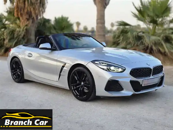 بي إم دبليو Z4 كابريوليه 2020 - تجربة قيادة لا...