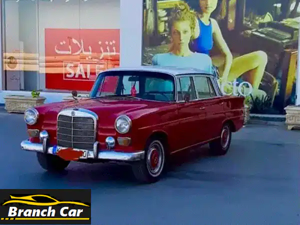مرسيدس بنز 1966 كلاسيكية: أيقونة حمراء فاتنة...