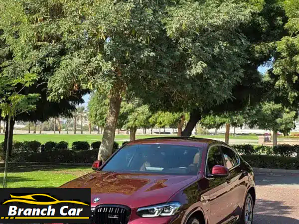 بي ام دبليو X4 2023 عنابي: فخامة، أمان وتقنيات ذكية! 33...