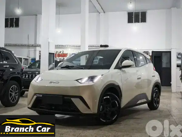 بي واي دي سيجال 2025 Flying Edition: سيارة كهربائية جديدة...