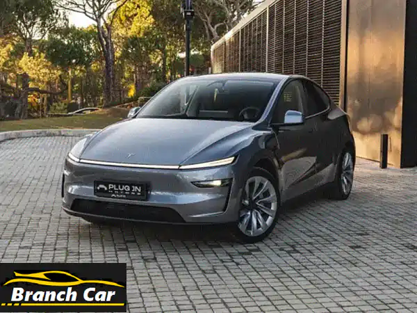 تسلا موديل Y+ 2025 الفضية: قوة دفع رباعي، مدى...