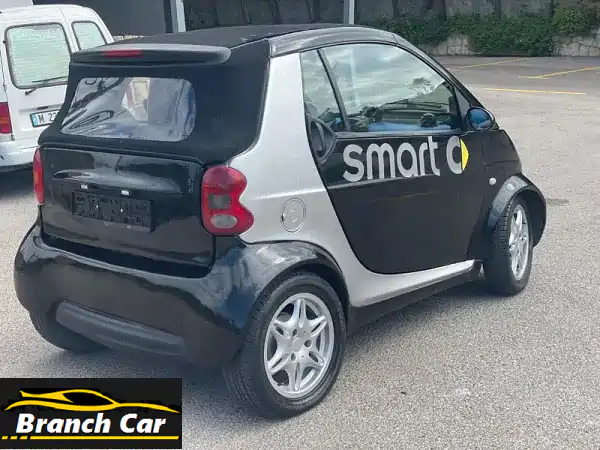 Smart Other 2004