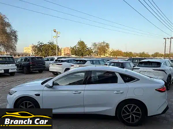 BYD Qin L 2025: رائدة الهايبرد بمدى 2100 كم | فخامة وذكاء