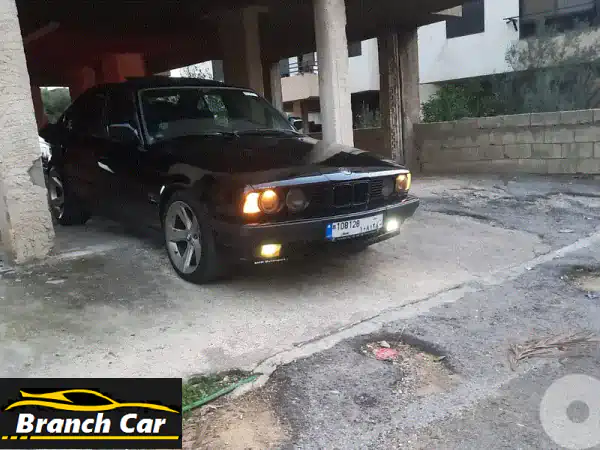 أيقونة بي إم دبليو 1992 الكلاسيكية: فيتيس عادي،...