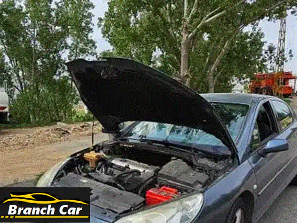 بيجو 407 موديل 2005 للبيع: أناقة فرنسية، اقتصادية،...