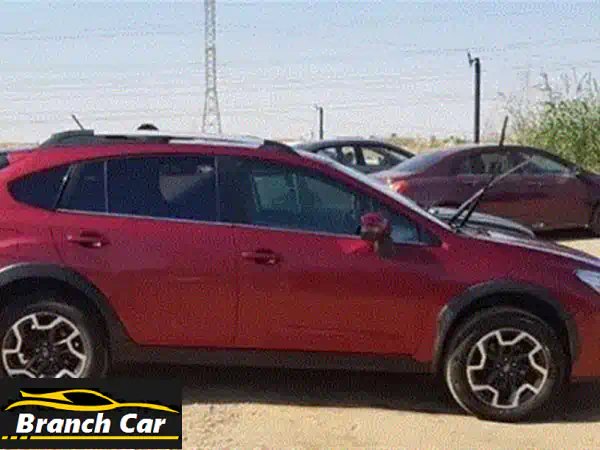 فرصة ذهبية: بايك U5 بلس 2025 - أعلى فئة، فابريكة بالكامل (داخل وخارج) - مالك أول 15 ألف كم فقط! - سعر 800,000