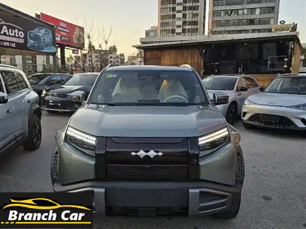 BYD LEOPARD 3 BRAND NEW  MODEL 2025 WARRANTY 8 YEARS BIG BATTERY TOP!!