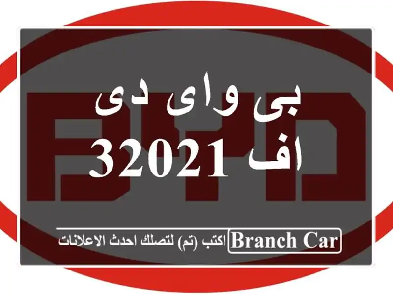 بى واى دى اف 32021