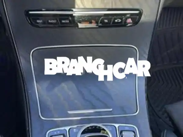 سي 300 دي (ديزلكهربائي)