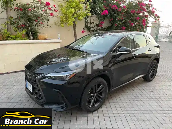 nx 350 hybrid 2022