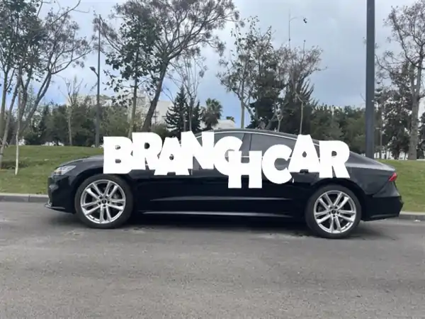 Audi A750 tdi quatro s Line 2024