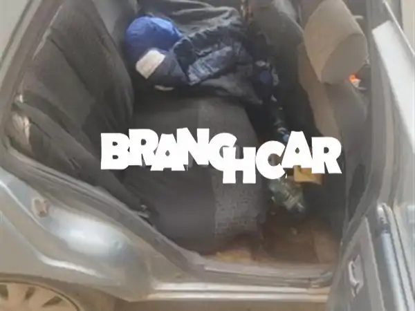 موديل 1987 ديوانة 1994