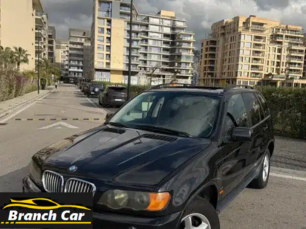 BMW X52003  6 Cylinders 3.0  0 Accidents