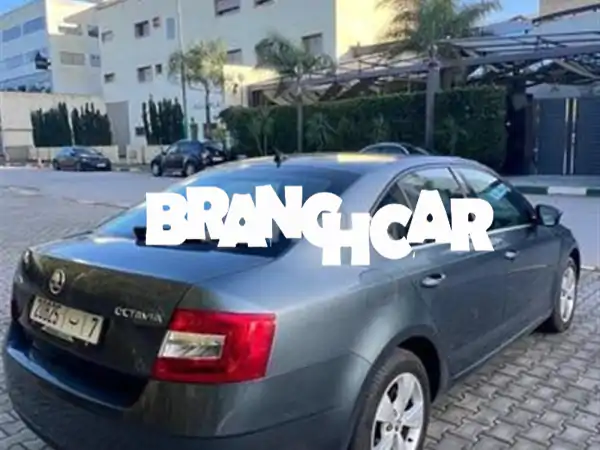 سكودا أوكتافيا موديل 2019 كوليمتريج. 116