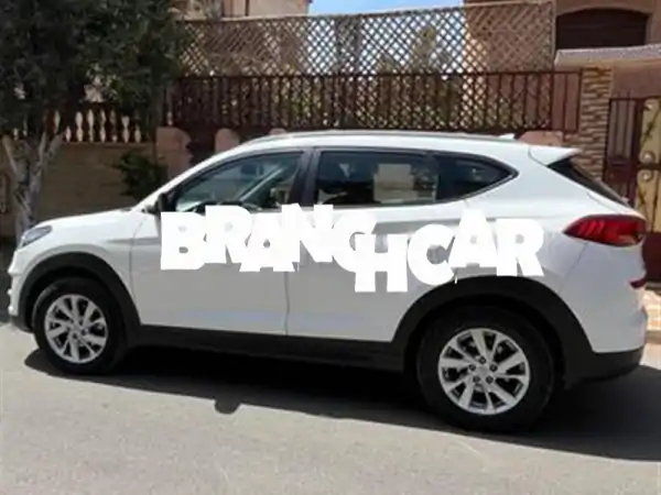 فرصة استثنائية: هيونداي توسان 2019 وسكودا أوكتافيا 2023 بالكامل! سيارات أحلامك بانتظارك