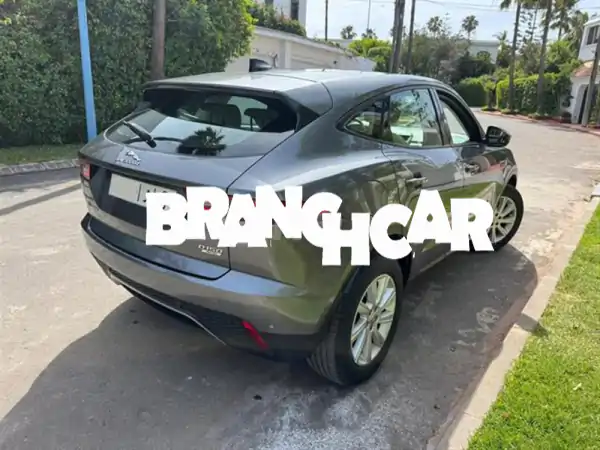 جاكوار إيبيس 66.000 كم