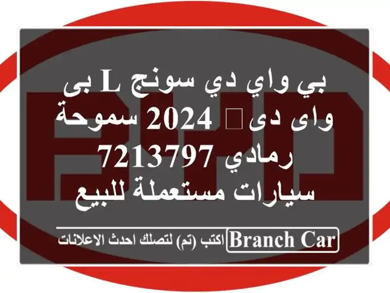 بي واي دي سونج L بى واى دى‬ 2024 سموحة رمادي 7213797...