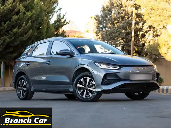 فرصة لا تعوض! BYD e2 2023 كهربائية: امتلكها بـ1000 د. دفعة +...