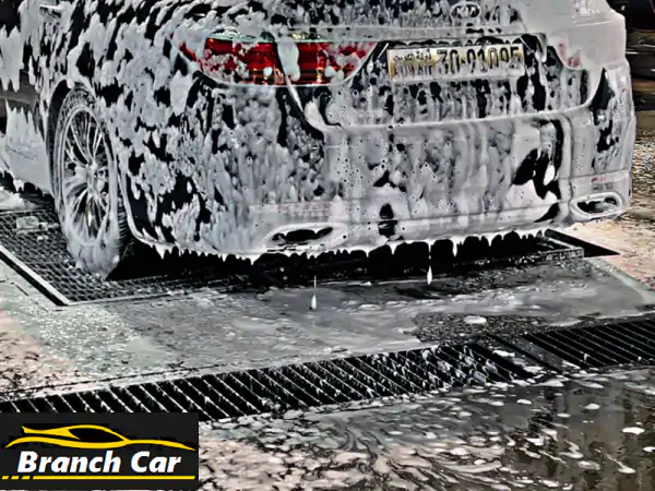 كيا كوريس 2016 رمادي فاخرة: فحص شامل، 6 سلندر، فل...