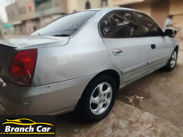افانتي سحلية ⁦2005⁩