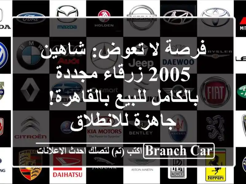 فرصة لا تعوض: شاهين 2005 زرقاء مجددة بالكامل...