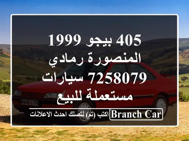 405 بيجو 1999 المنصورة رمادي 7258079  سيارات مستعملة للبيع