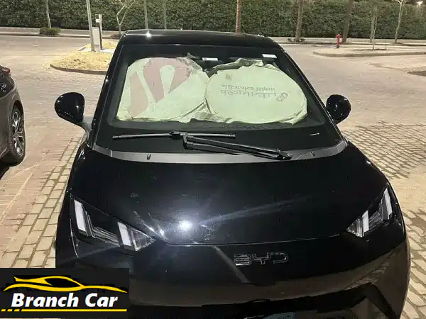 بى واى دى دولفين 2027  BYD Dolphin 2027