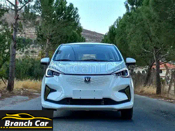 (ZERO KM) FULLY ELECTRIC CHANGAN ESTAR