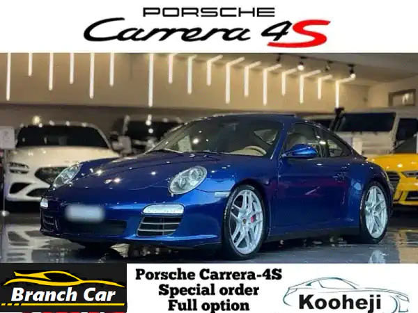 Porsche Carrera 2009