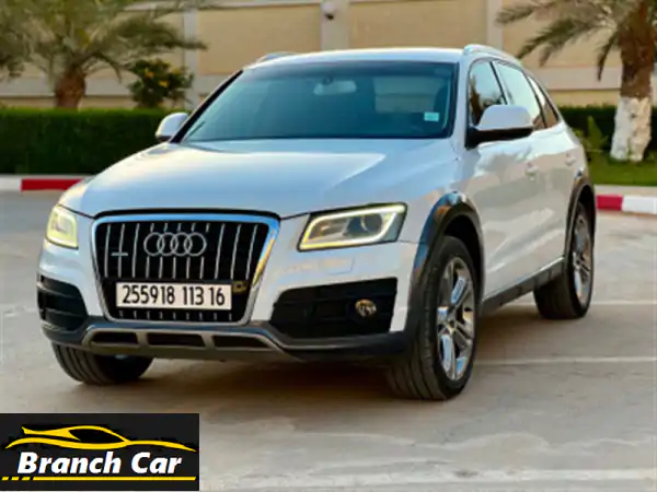 Audi Q52013 Off Road